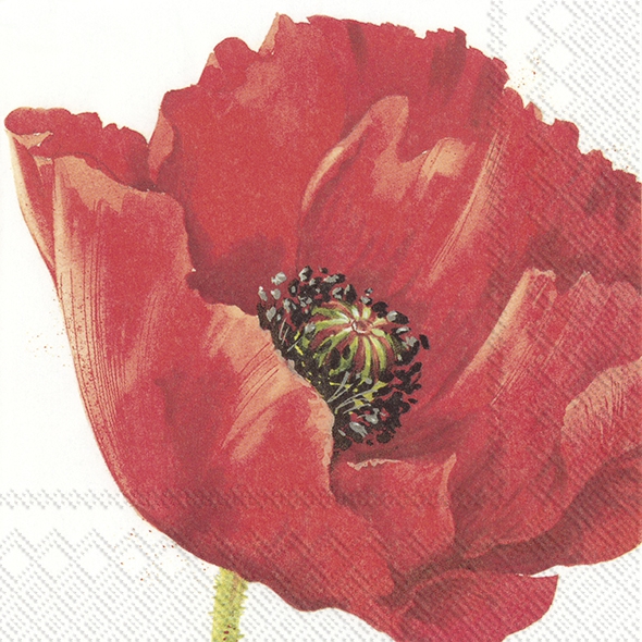 Napkins 33x33 cm - MONA