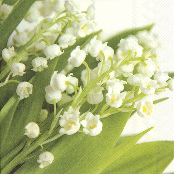 Servietten 33x33 cm - JINGLE MAY