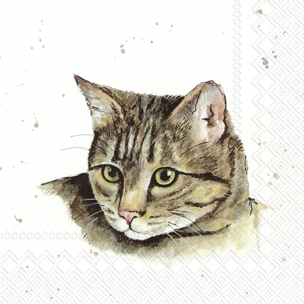 Napkins 33x33 cm - FARMFRIENDS CAT
