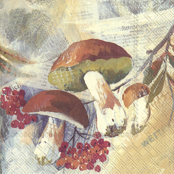 Servilletas 33x33 cm - POLCINO