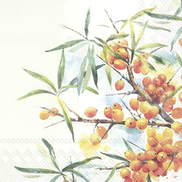 餐巾33x33厘米 - BEEKE, 沙棘, 水果 餐巾33x33厘米 - BEEKE