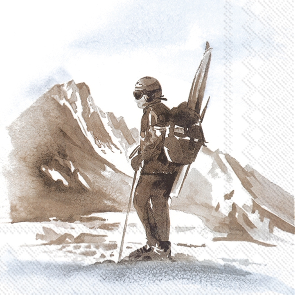 Servietten 33x33 cm - ABENTEUER