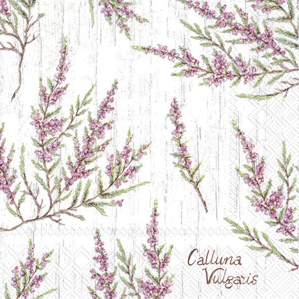 Servietten 33x33 cm - CALLUNA VULGARIS grey