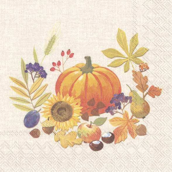 餐巾33x33厘米 - LITTLE PUMPKIN linen