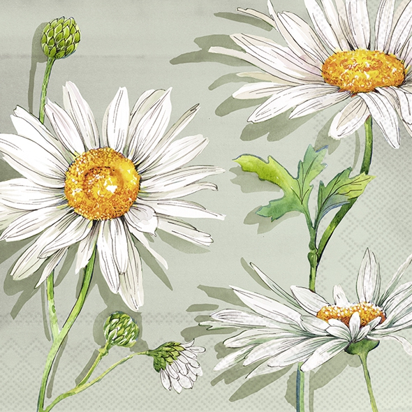 Servietten 33x33 cm - RITA sage, Margeriten,  Magariten,  Blumen