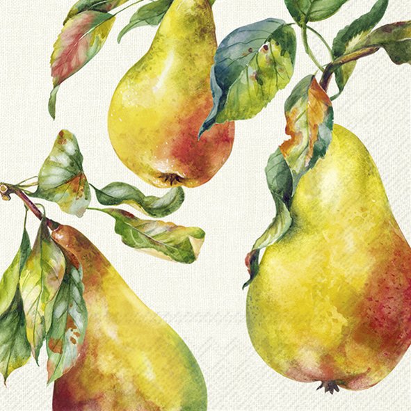 Serwetki 33x33 cm - HOME GROWN PEARS cream