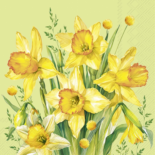 Servilletas 33x33 cm - NARCISSUS BOUQUET green, Narcisos,  Flores