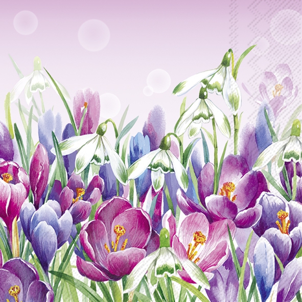 Servietten 33x33 cm - CROCUS light rose, Schneeglöckchen,  Krokusse,  Krokus,  Wald,  Blumen,  Wiesen