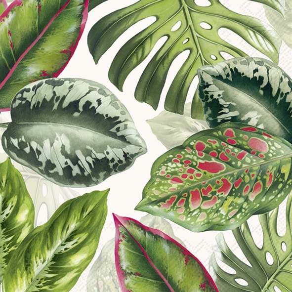Servilletas 33x33 cm - EXOTIC LEAVES light grey, Palmeras,  Monstera,  Plantas,  Selva y trópicos,  Regiones