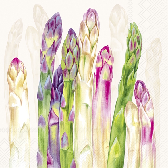 Tovaglioli 33x33 cm - ASPARAGUS cream, Asparagi,  Verdure