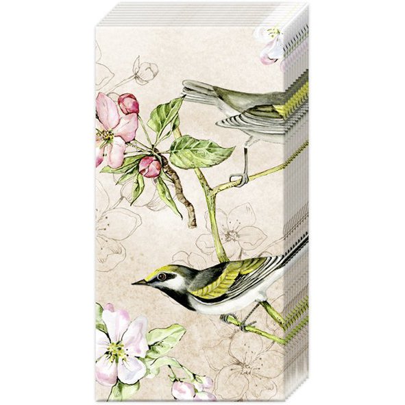 Chusteczki do nosa - BIRDS SYMPHONY cream