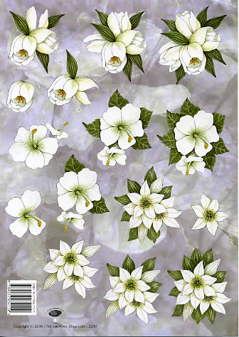 3d sheetblumen - format a4