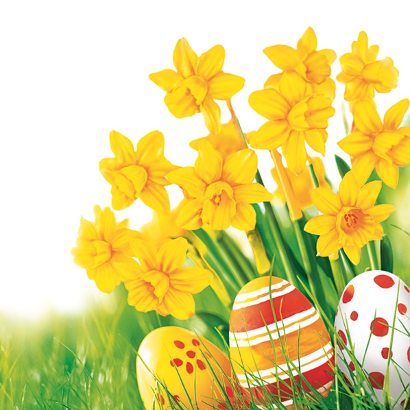 Servilletas 25x25 cm - Bunch of Yellow Daffodils with Easter Eggs in Grass, Pradera,  narcisos,  flores,  Huevos de Pascua,  Pascua