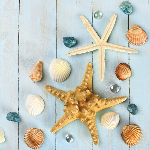 Servietten 33x33 cm - Sea Stars & Shells