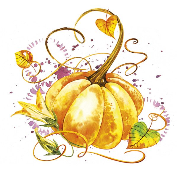 Serwetki 33x33 cm - Mature Pumpkin, 