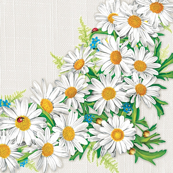 Napkins 33x33 cm - Daisy Frame