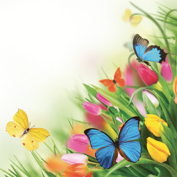 Serwetki 33x33 cm - Tulips & Butterflies, tulipany,  motyle,  kwiaty,  zwierzęta