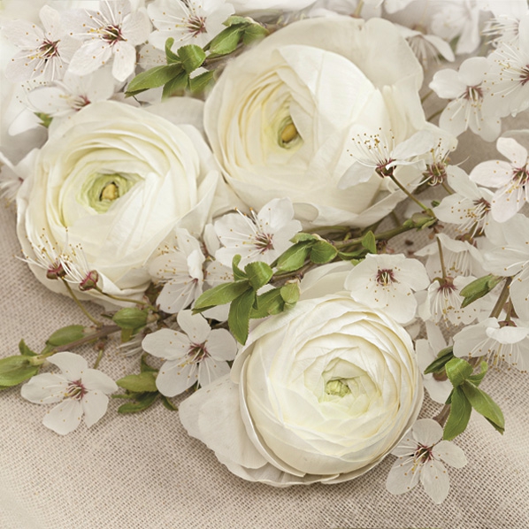 Servilletas 33x33 cm - White Buttercups Composition