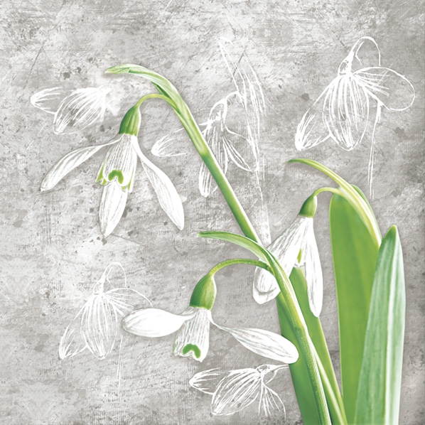 Servilletas 33x33 cm - Delicate Snowdrops on Concrete, Campanillas de invierno,  Flores