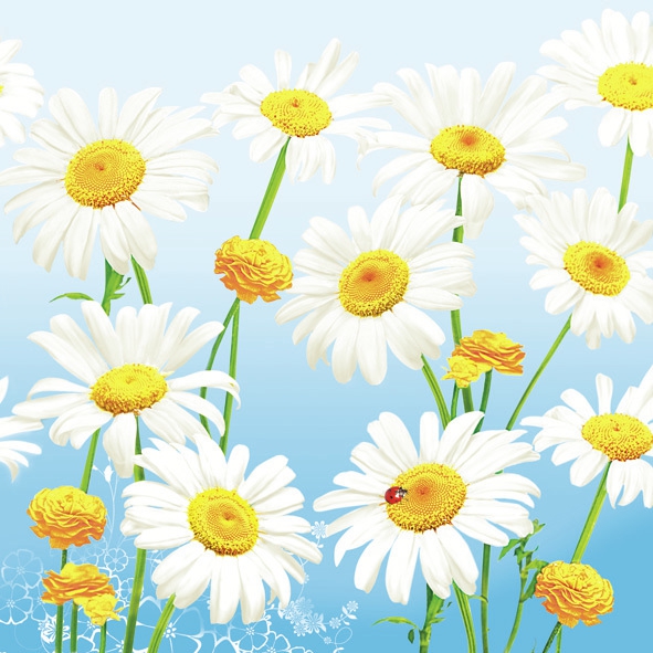 Servilletas 33x33 cm - Lovely Marguerites on Blue, Pradera de flores,  Magaritas,  Margaritas,  Flores