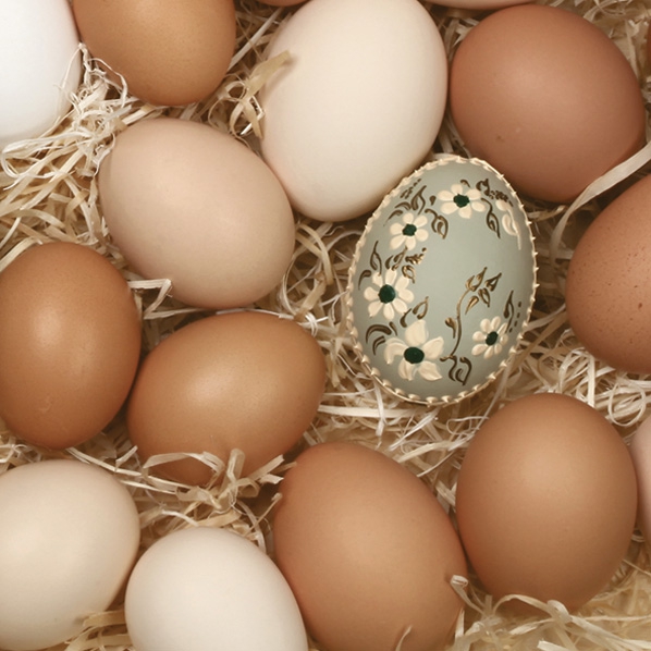Servietten 33x33 cm - Organic Eggs, Ostereier, Ostern Servietten 33x33 cm - Organic Eggs