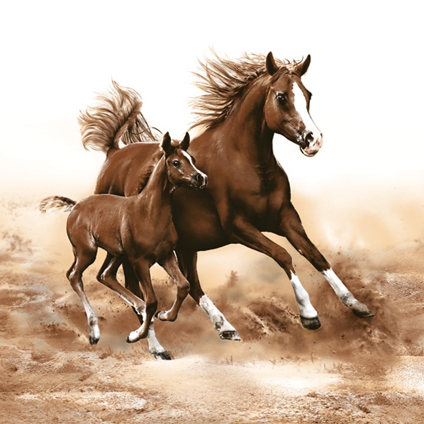 Napkins 33x33 cm - Mare with Foal, Foal,  Horses,  Animals