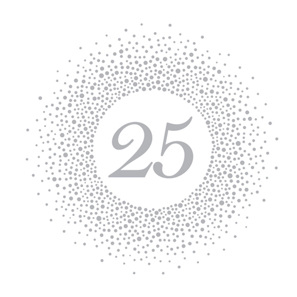 Servilletas 33x33 cm - 25 Silver Dots