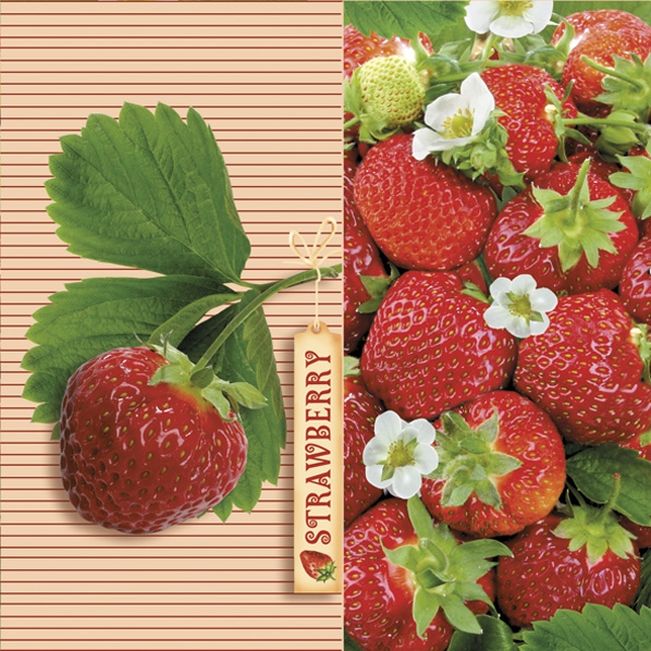 Napkins 33x33 cm - Delicious Strawberries with Ticket