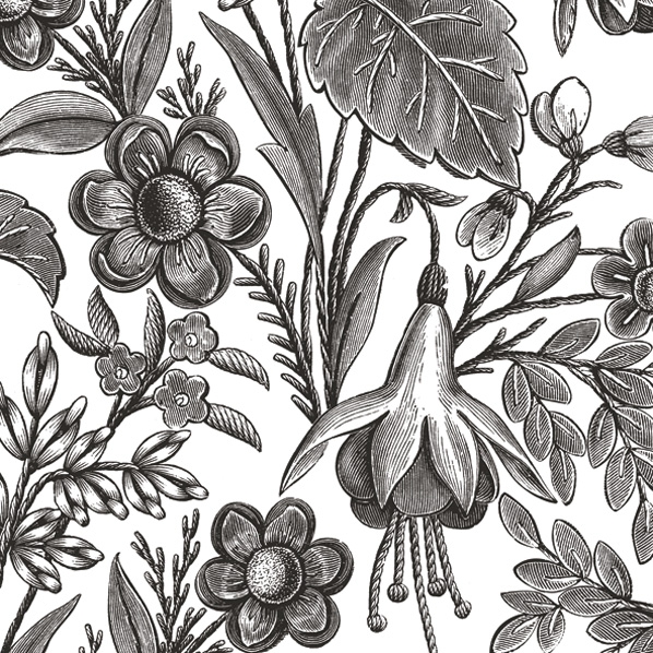 Servilletas 33x33 cm - Floral Illustration Black