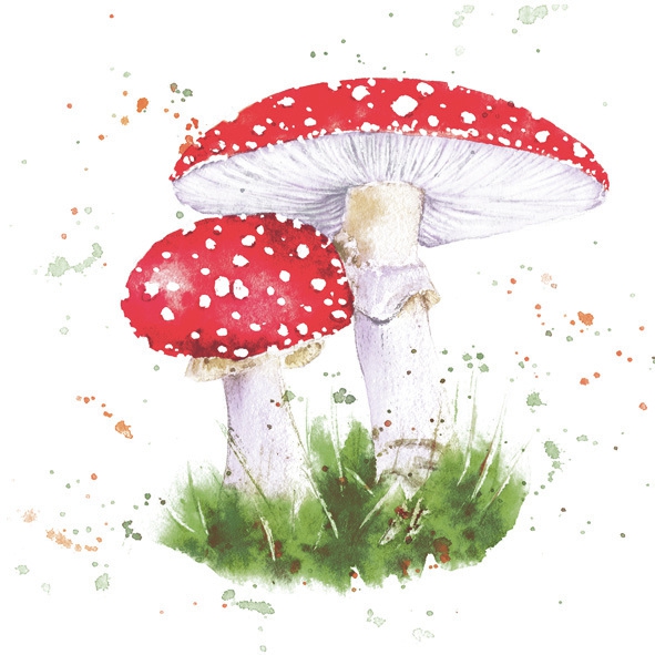 Tovaglioli 33x33 cm - Painted Toadstool, Rospo,  Fungo,  Piante,  Foresta,  Prati