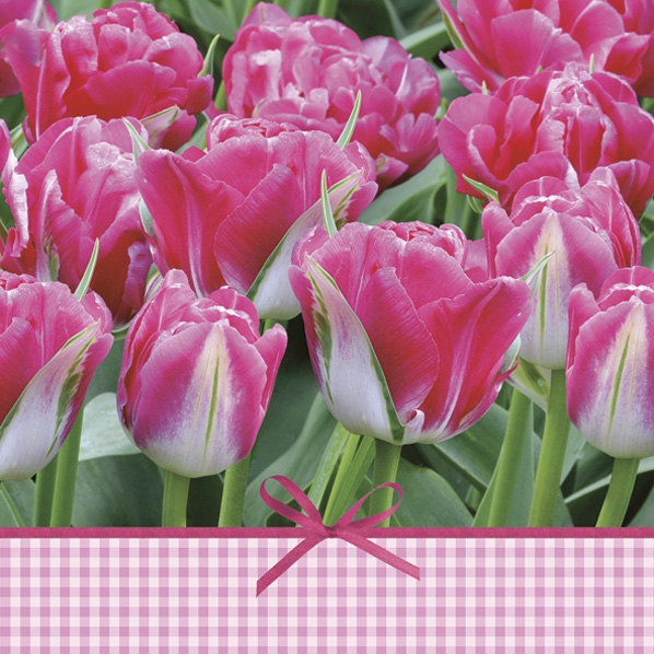 Guardanapos 33x33 cm - Pink Tulips Time