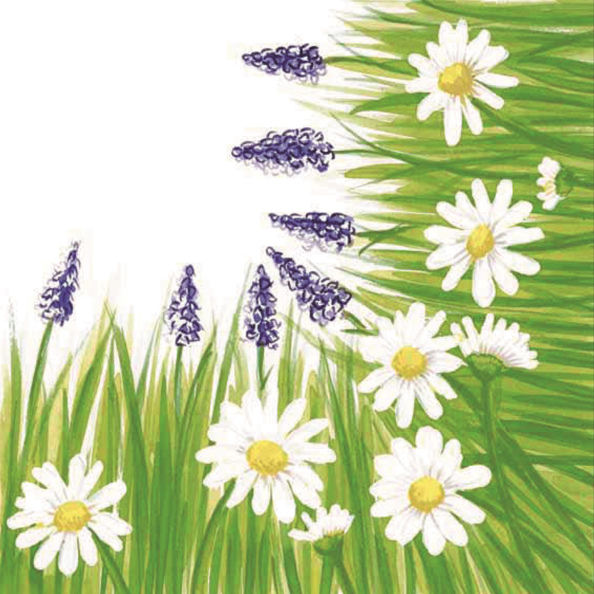 Linclass napkins 40x40 cm - Nele