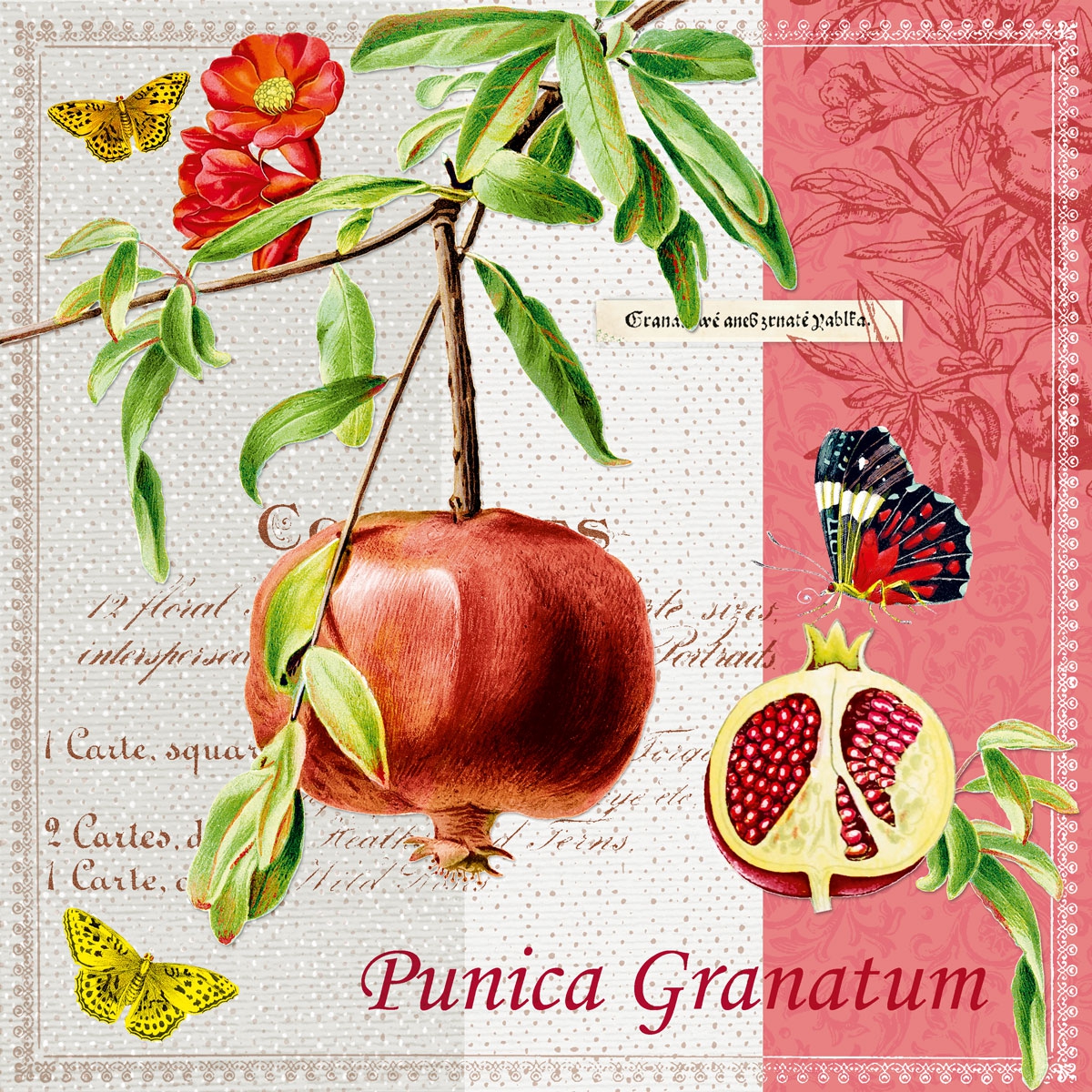 Guardanapos 33x33 cm - Punica Granatum