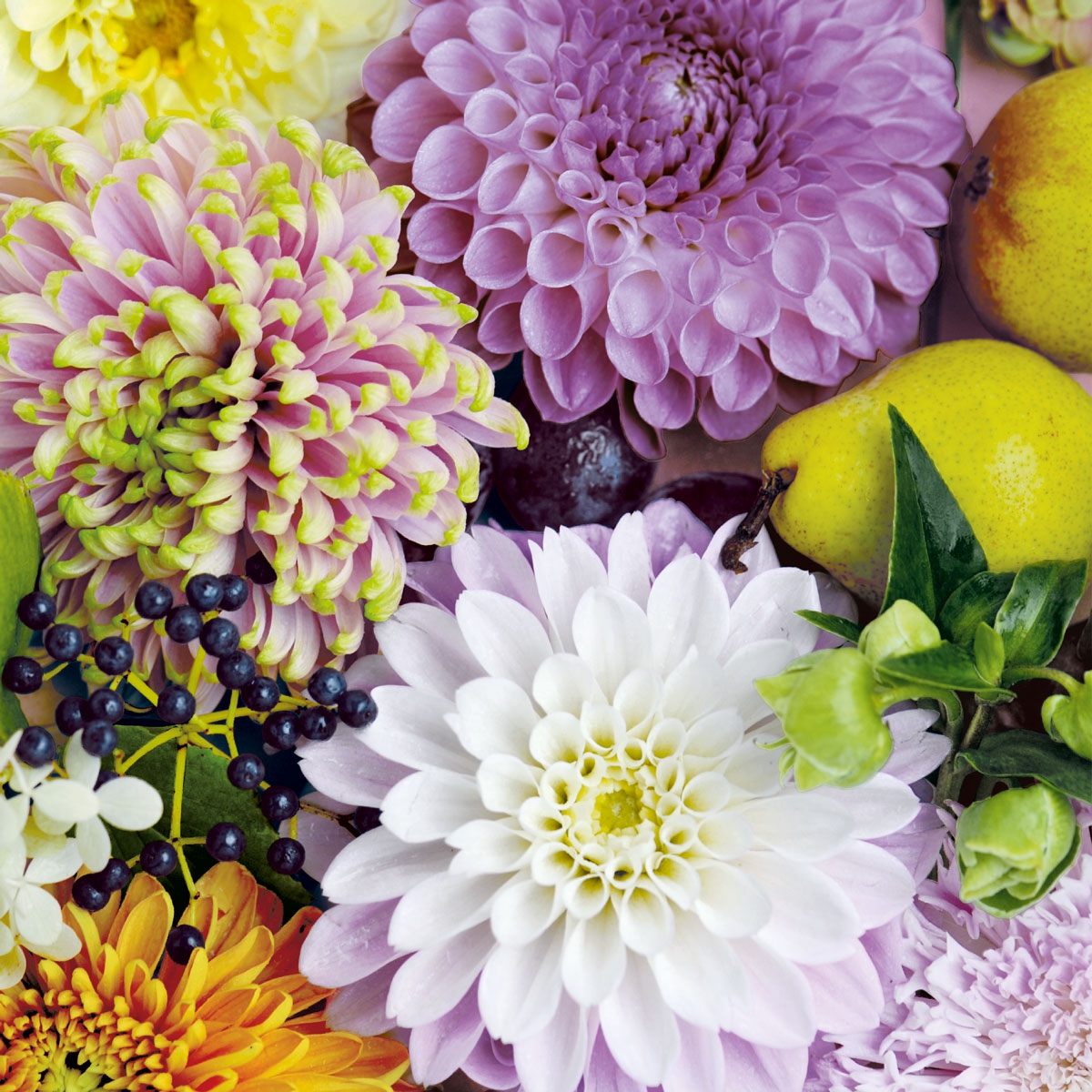 Guardanapos 33x33 cm - Mara