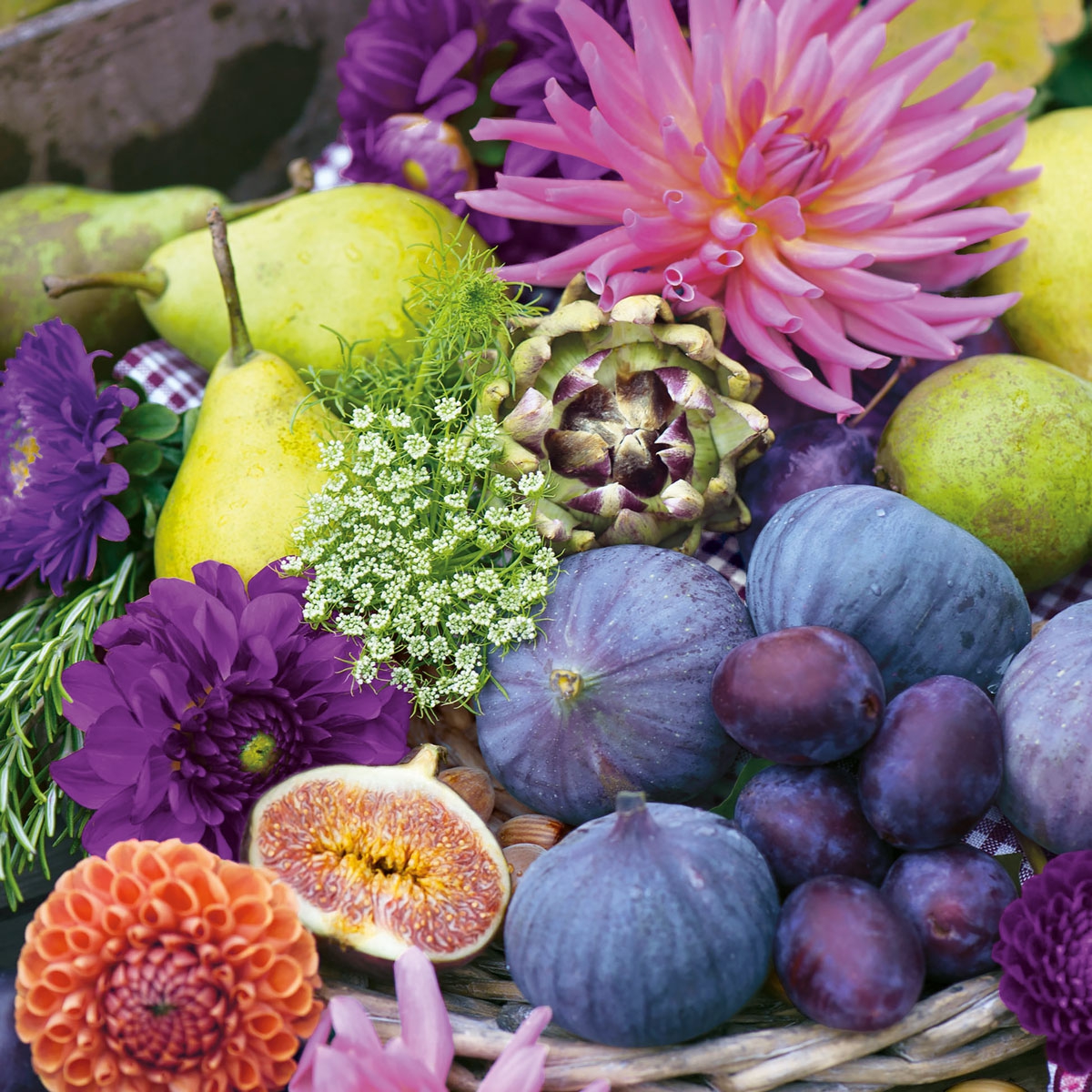 Servietten 33x33 cm - Naike