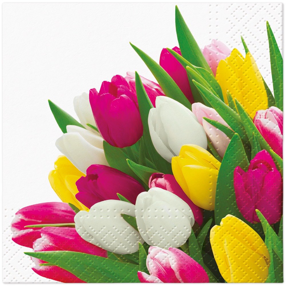 Napkins 25x25 cm - Bunch of Tulips