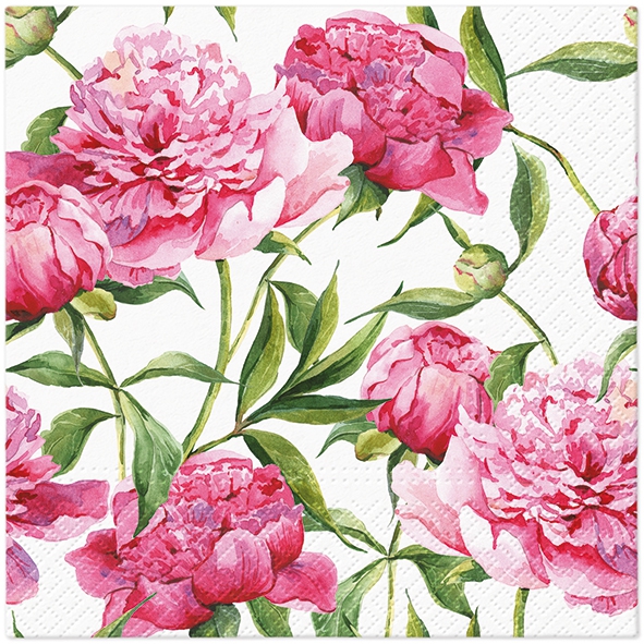 Napkins 33x33 cm - Pink Peonies, roses,  flowers