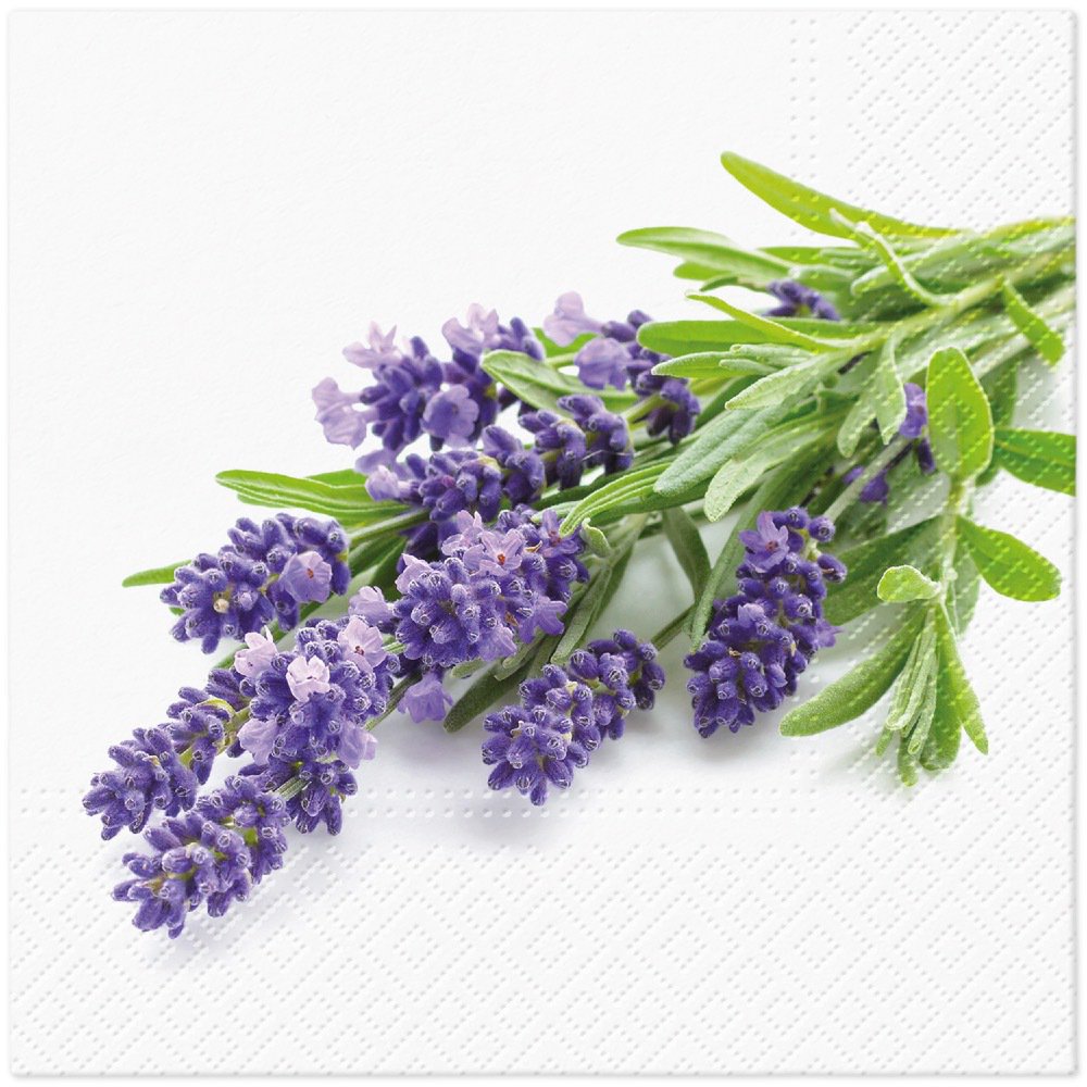 Servietten 33x33 cm - Lavender Bunch
