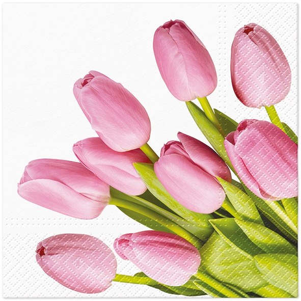 Napkins 33x33 cm - Lovely Tulips, Spring,  Tulips,  Flowers