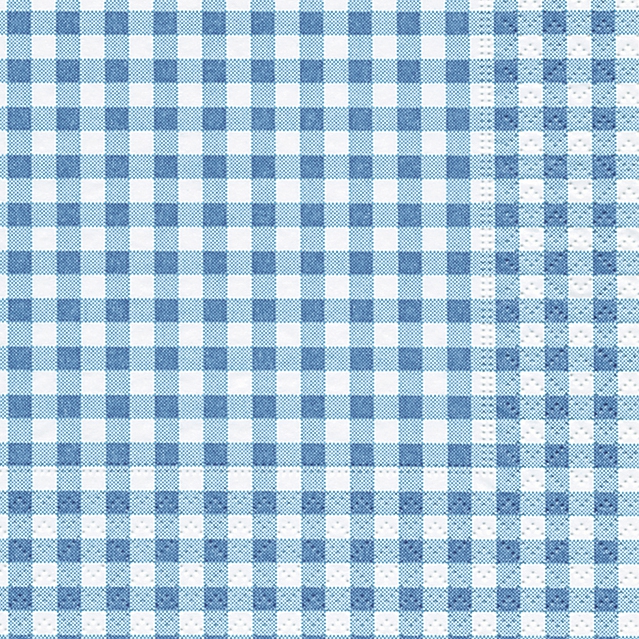 Принят в клетку. Винил в клеточку. Gingham pattern.