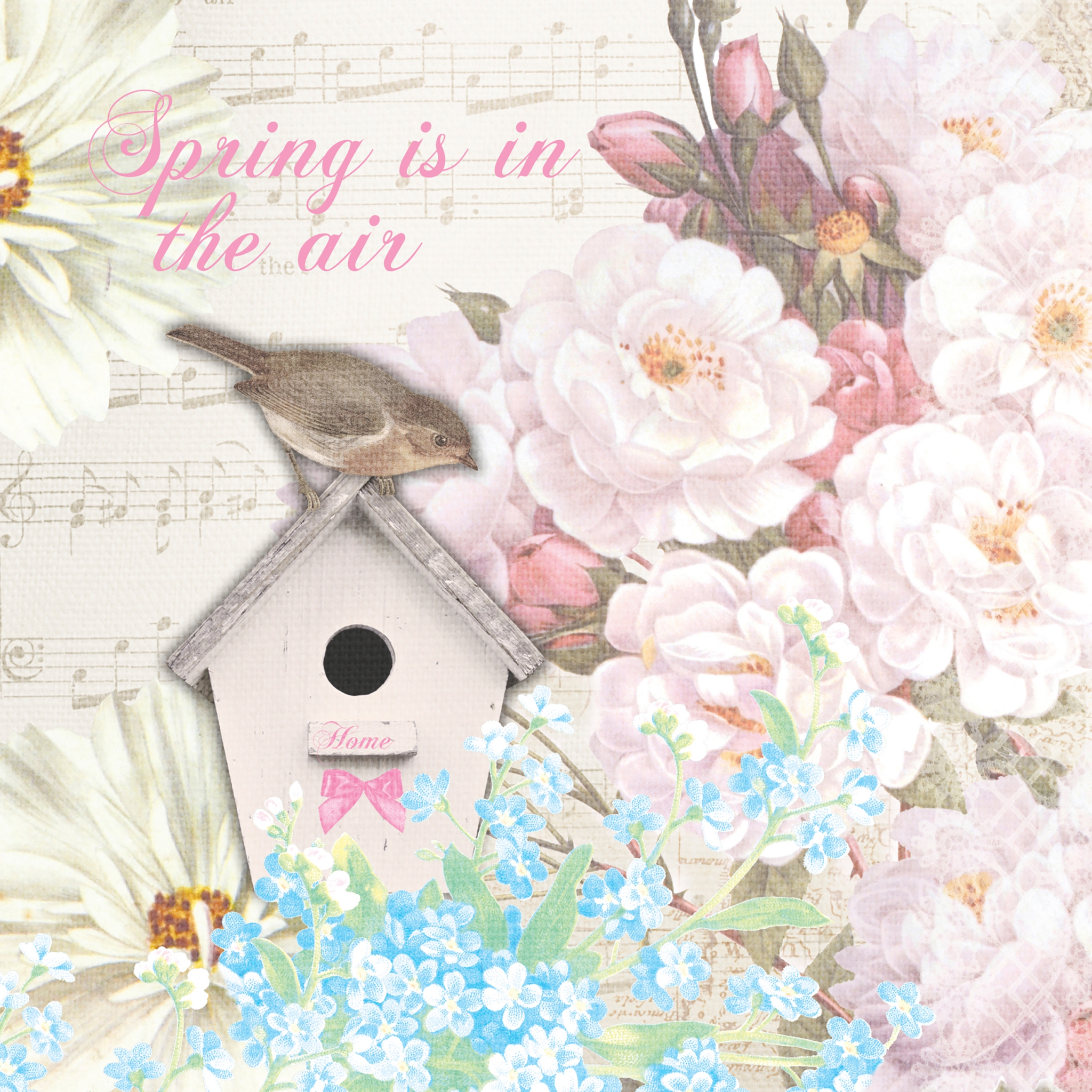 Servilletas 24x24 cm - Bird house