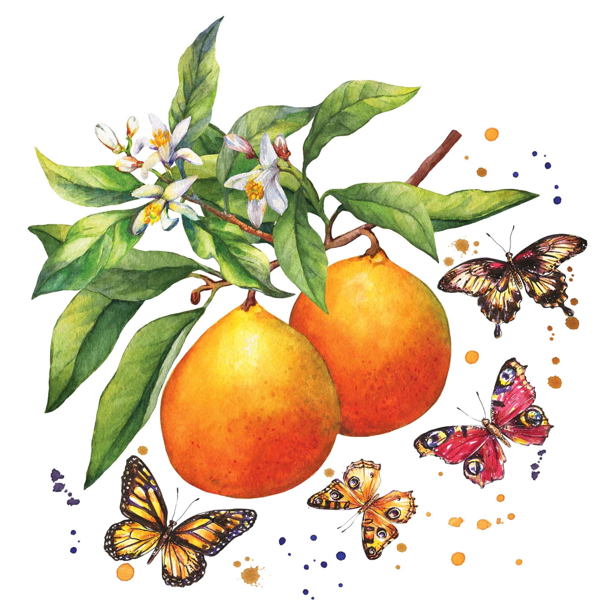 Napkins 24x24 cm - Fruity Butterflies