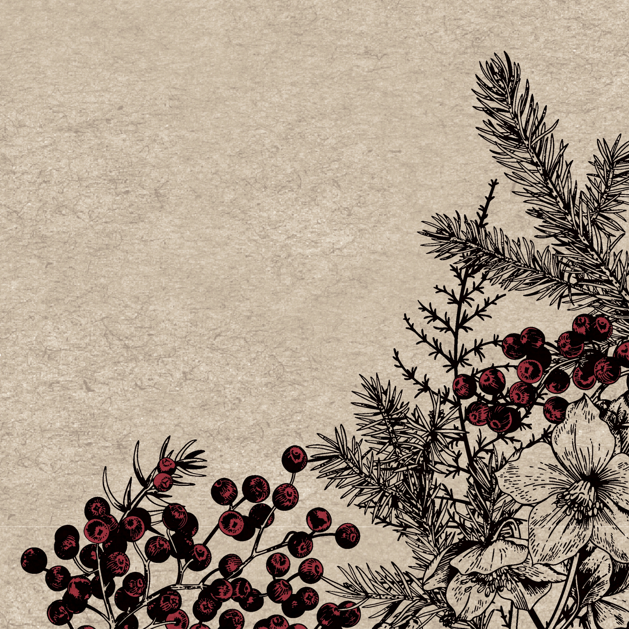 Servilletas 33x33 cm - Botanical Xmas