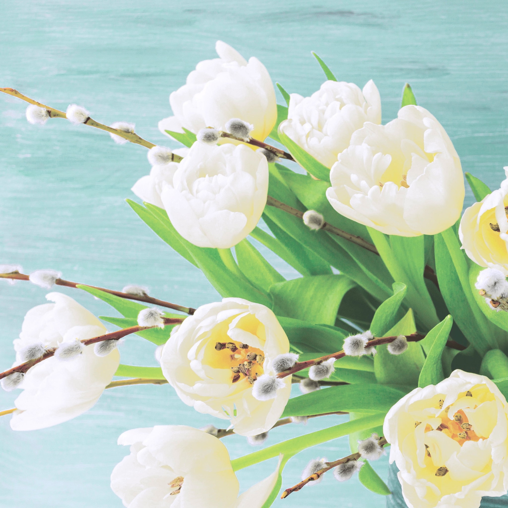 Napkins 33x33 cm - White tulips