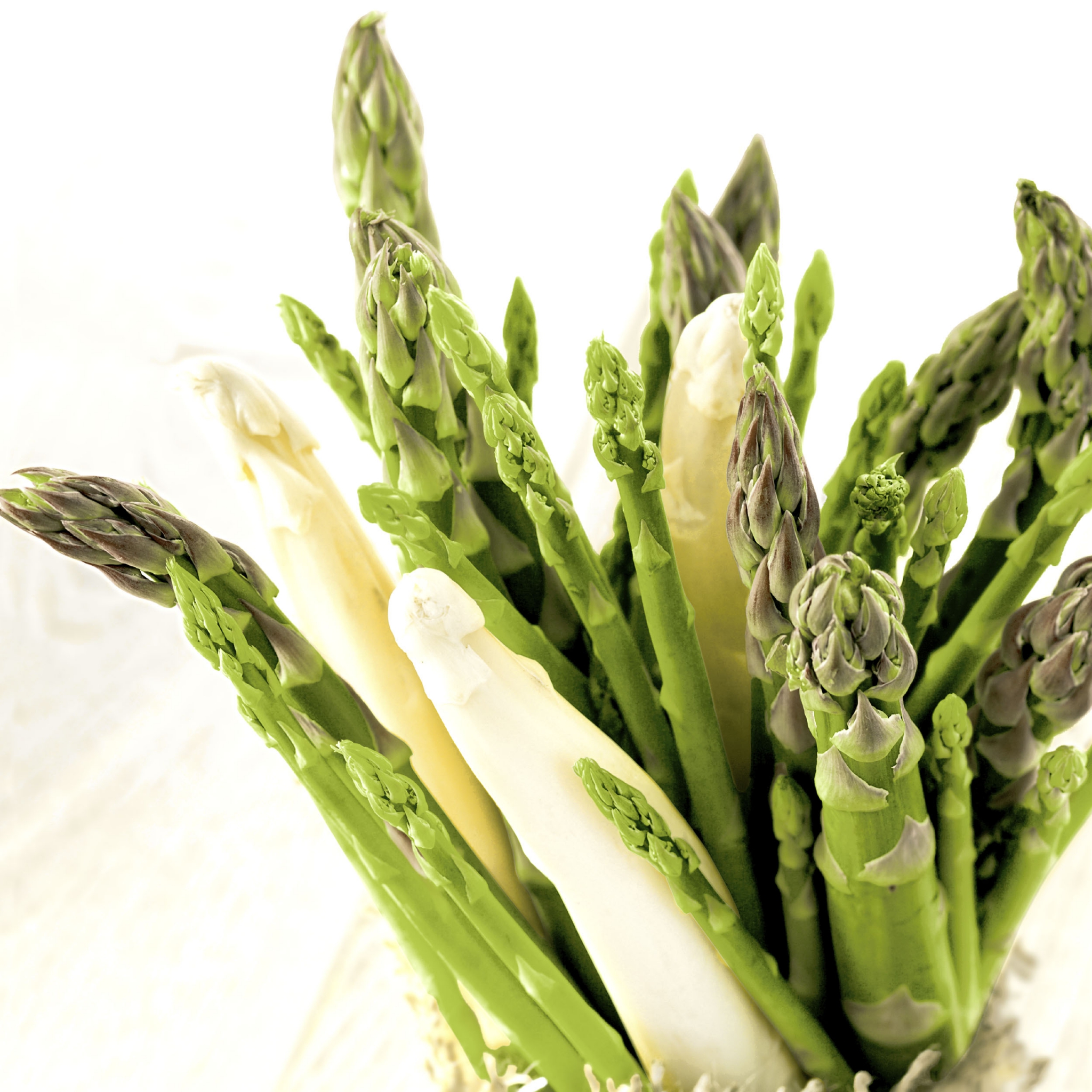 Салфетки 33x33 см - Asparagus