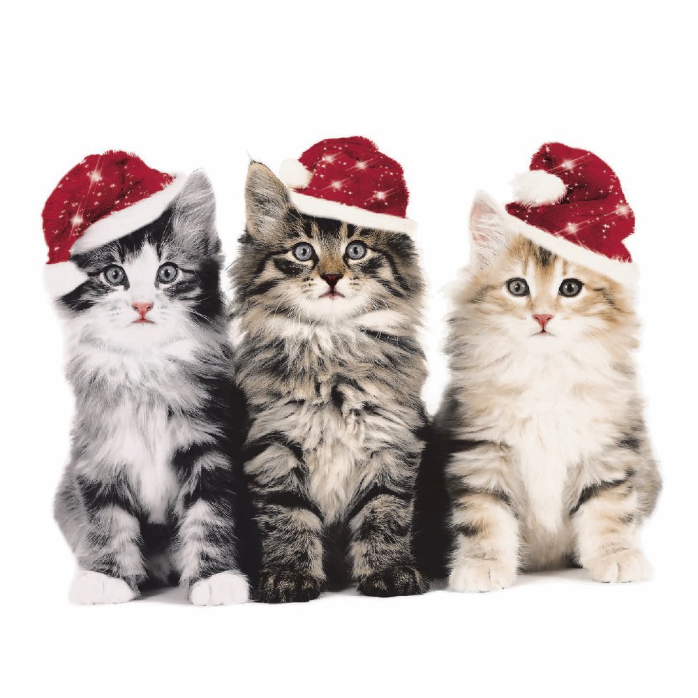 Servietten 33x33 cm - Xmas cats