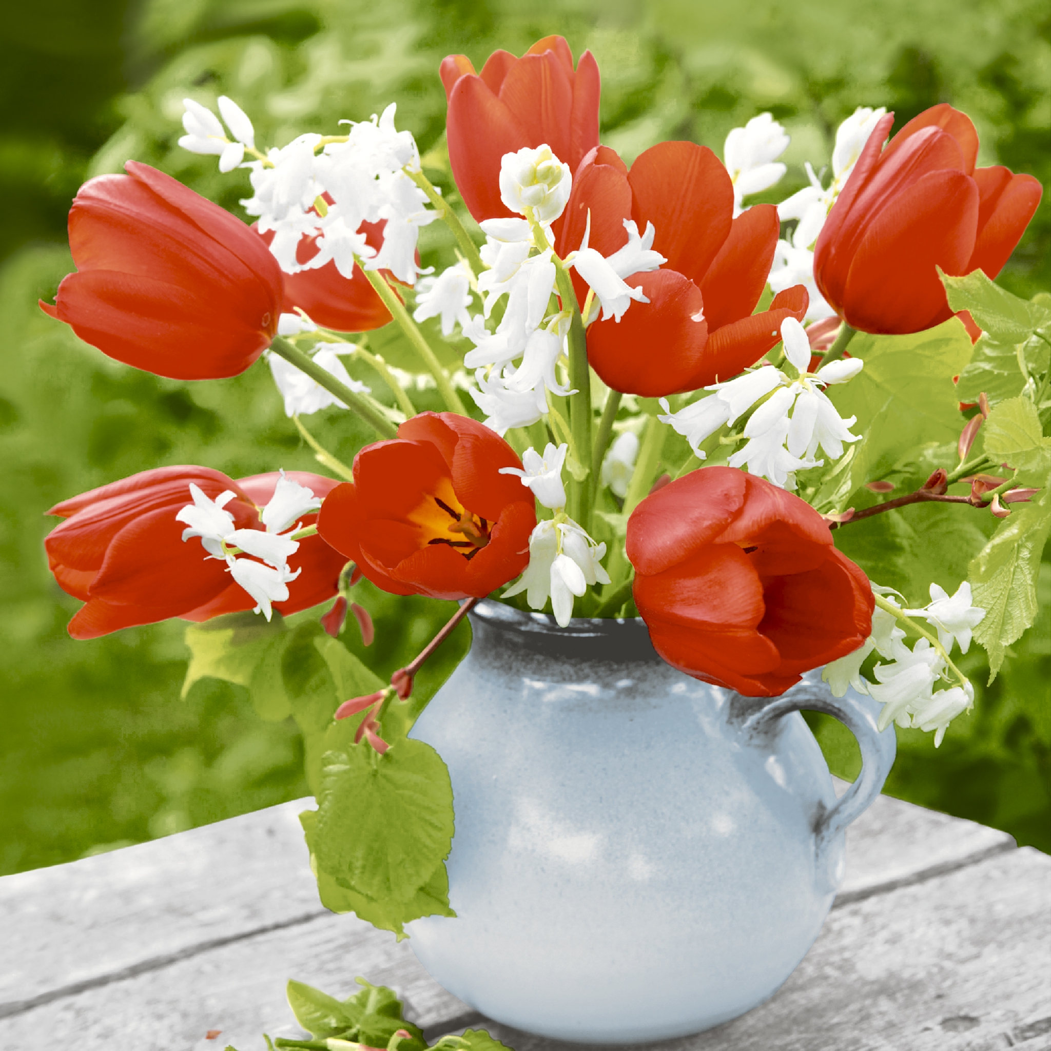 Napkins 33x33 cm - Red tulips