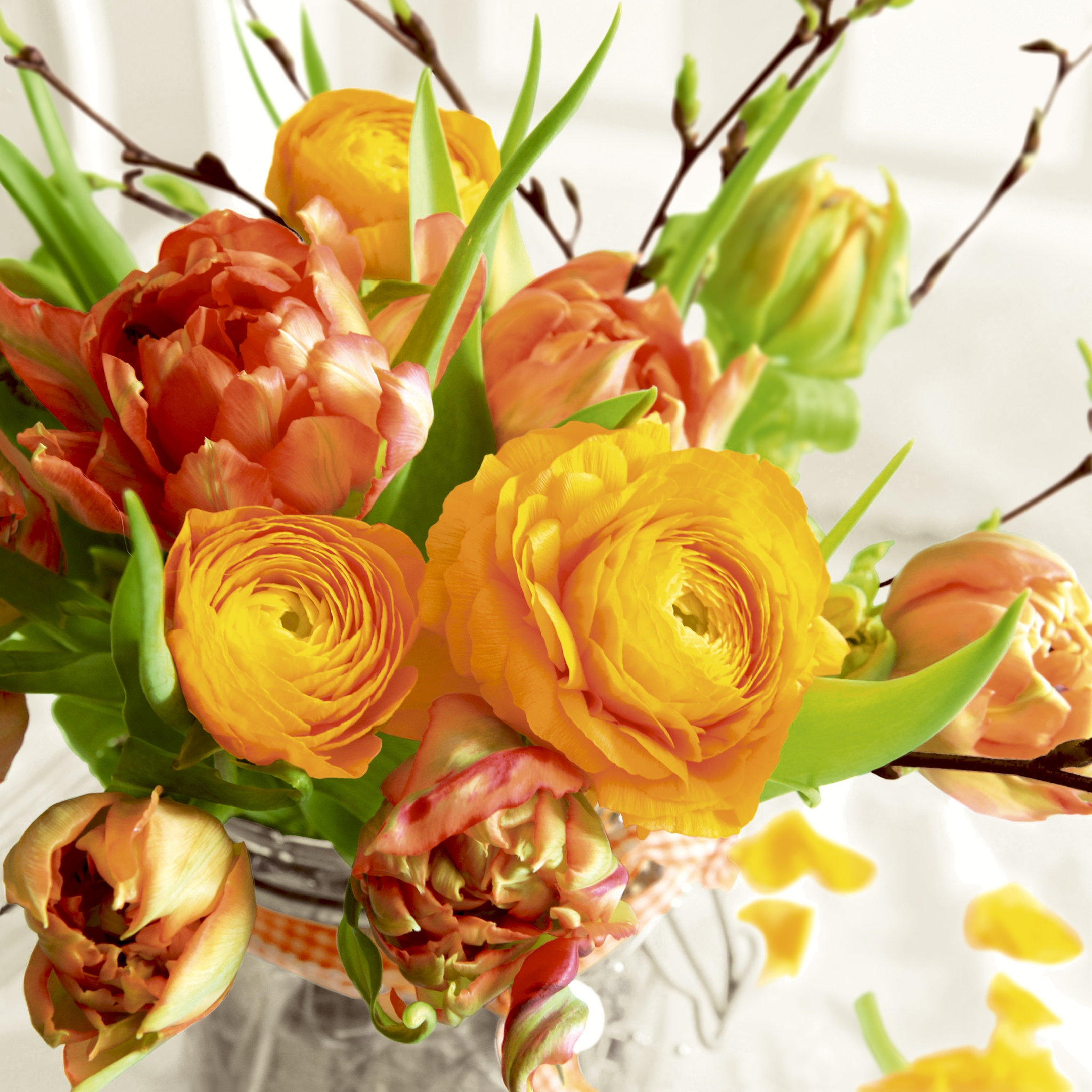 Napkins 33x33 cm - Spring bouquet