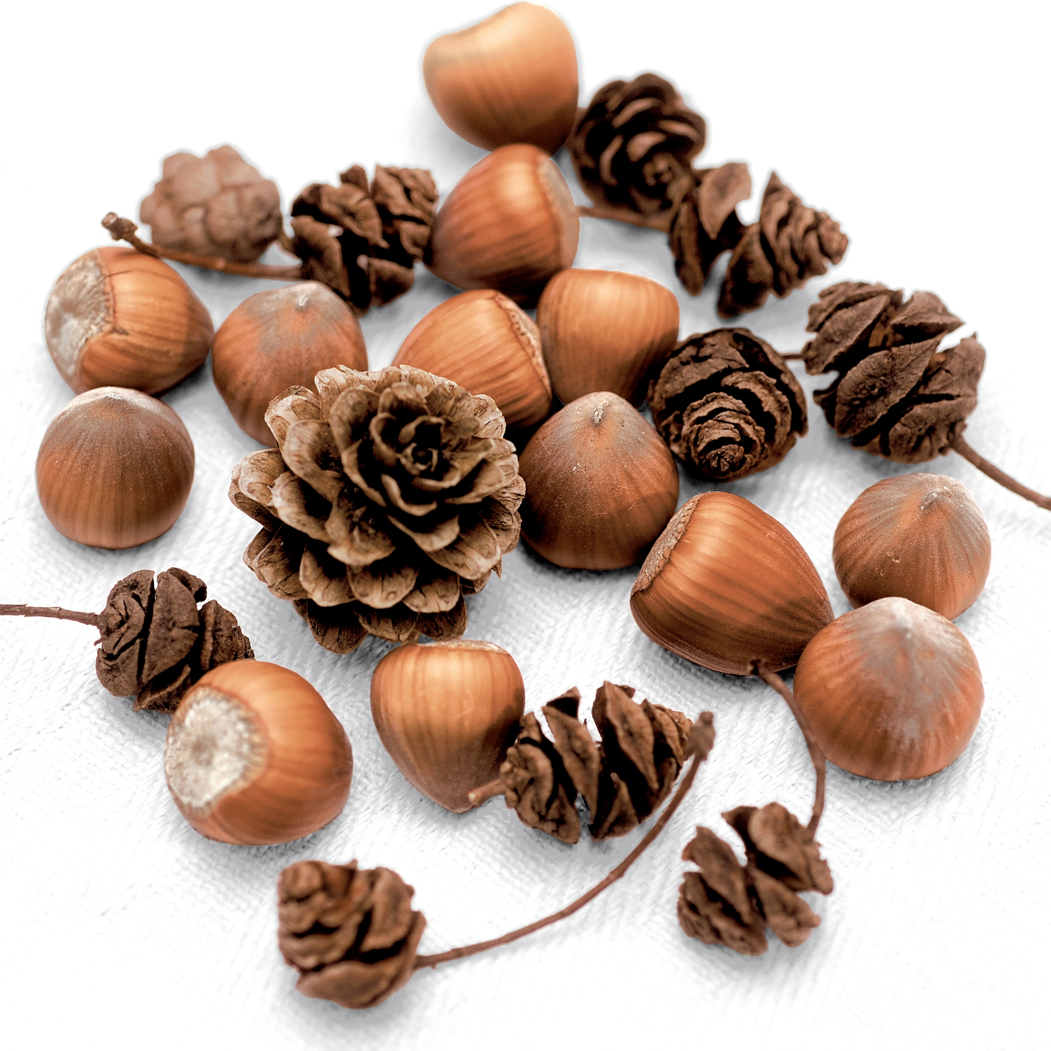 Servietten 33x33 cm - Cones and nuts