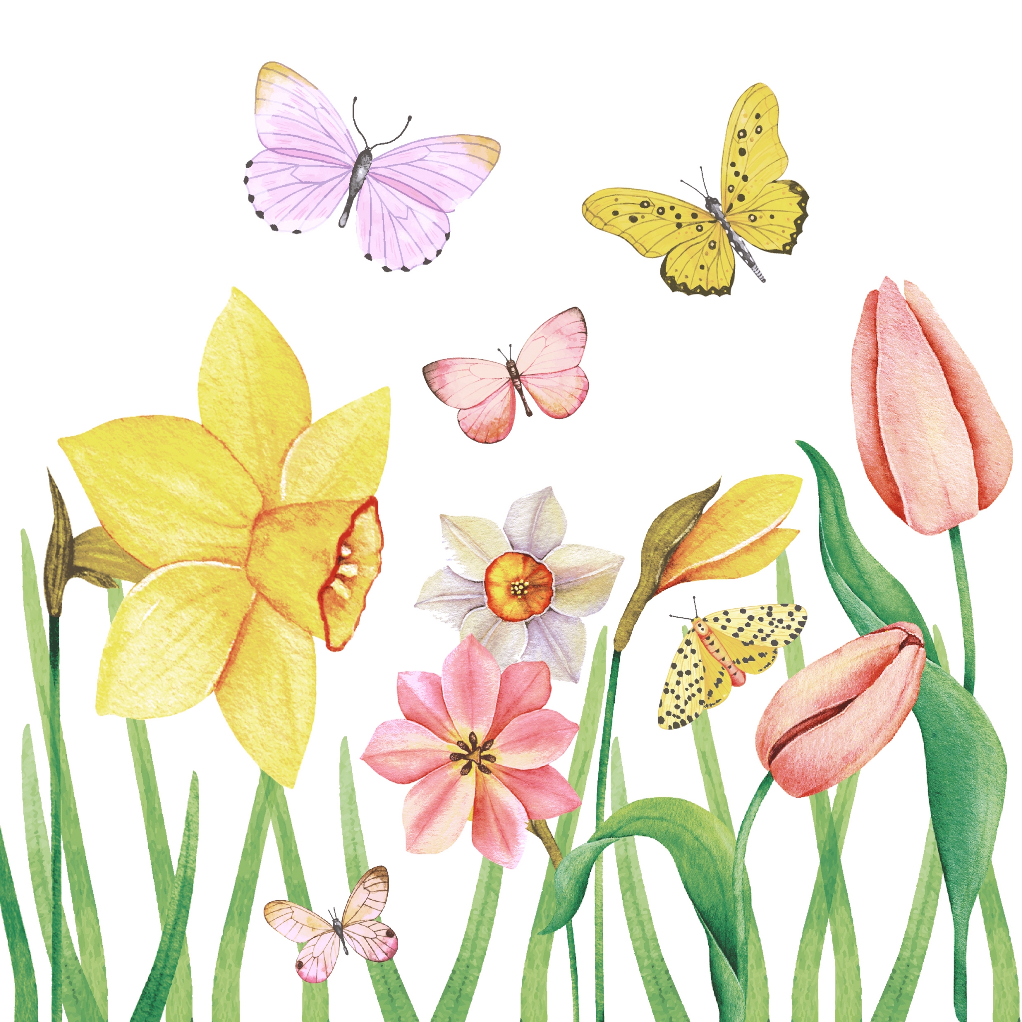 Napkins 24x24 cm - Butterfly meadow, Flower meadow,  Daffodils,  Tulips,  Butterflies,  Forest,  Flowers,  Animals,  Meadows